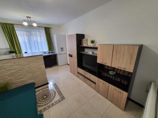 Garsoner Green Home - Sibiu - 8