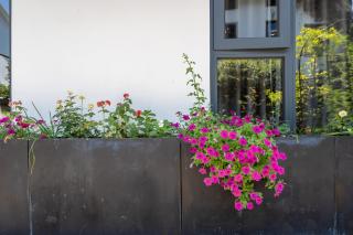 Hangzhou Ziwei Boutique Homestay - Hangzhou - 4