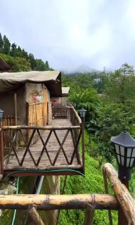 Deoja Forest Stay - 8