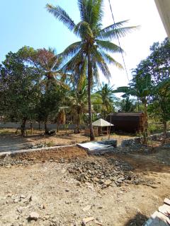 BALE LANGGAK COTTAGES - Kuta Lombok - 4