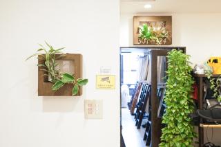 Hostel Lodging Tokyo Ueno - 1