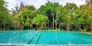 Palm Village Resort & Spa - Siem Reap - 8