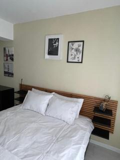 Apartament 2 camere Mogoșoaia - Mogoşoaia - 4