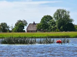 Friesenhaus am See - Aventoft - 0