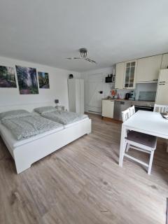 Waldbergperle Ernsbach - 6