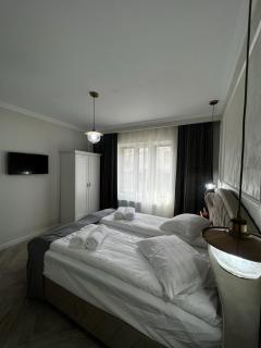 Casa moderna situata in zona centrala a orasului - Tulcea - 7
