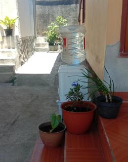 Radiya Guesthouse - 2