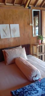 Radiya Guesthouse - 5