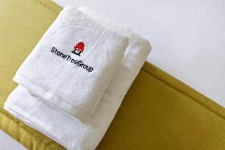 StoneTree - Sit Back, Relax and Your New View Awaits - 3