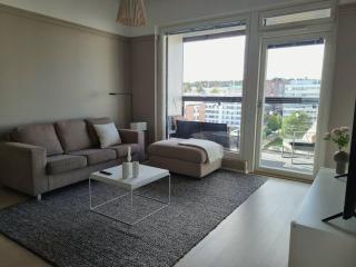 Tasokas ja viihtyisä huoneisto! - 2