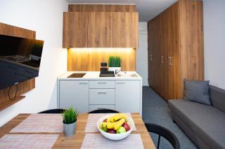 Ramonda apartman Vila Bela Reka 50m from Gondola - free parking acces - 4