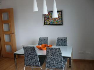 Atico, Piscina, AC, WI-FI y Parking Gratis, Gran Terraza, VUT 47-79 - 8