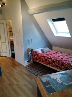 Appartement Henri II - Le Mans - 9