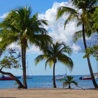 La Plage - Mer des Caraïbes à 30m - Les Trois-Îlets - 0