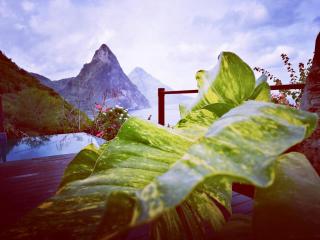 Moringa Villa Studio 1 - Soufriere - 8