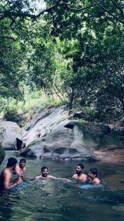 Green and Green - Vagamon - 4