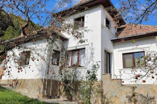 Nature Hideaway - Cetatenii - 1