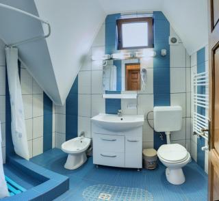 Pensiunea Casa Verde Bucuresti - 7