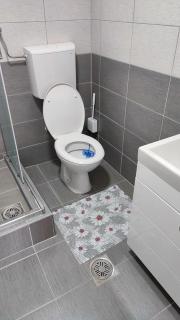 Apartman Bogdanovic - Vrdnik - 1