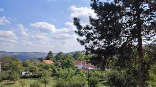 Apartman Bogdanovic - Vrdnik - 0