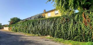 Ma maison fleurie proche AEROPORT LYON ST EXUPERY, LDLC ARENA, Groupama Stadium,Eurexpo - Janneyrias - 7
