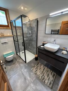 Chalet coup de coeur - Passy - 5