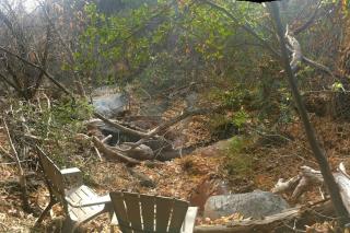 Shirley Creek Retreat: a Mountain Oasis - 1