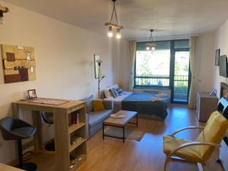 Cosy studios with mountain view near Bansko - Razlog - 1