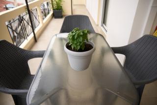 Georgia's Comfort City Center apartment - Tripoli (Tripolis) - 8