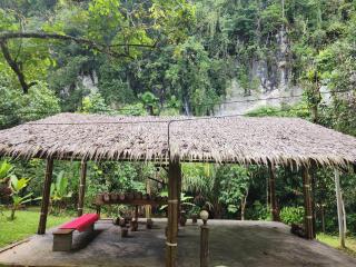 Khao Sok Silver Cliff Resort - Khao Sok - 1