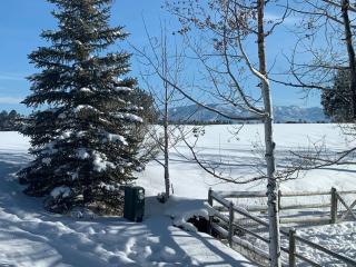 The “Worst” Home, Best Stay In Pagosa Springs - 4