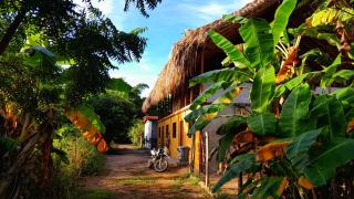 Casa Matilda - Palomino - Palomino - 8