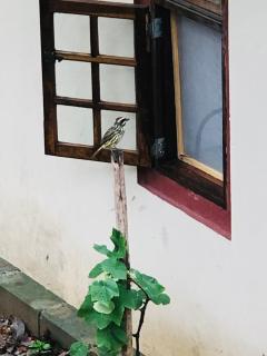 Casa completa em Santana de Parnaíba - Santana de Parnaíba - 1