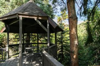 The Creekside Cabin at La Caille - 1