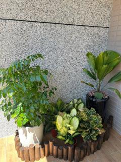 芯之所嚮 - Hualien - 2