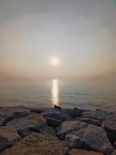 Tokiku Homestay Paka unit A - 3