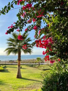 Sunshine beach front complex, WiFi, modern - Casares - 5