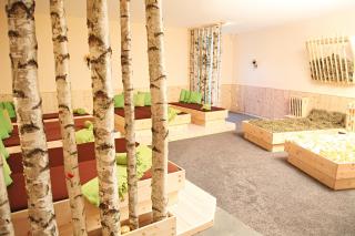 Hotel Im Krummbachtal - Schönau an der Brend - 5