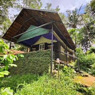 Grassroots Wayanad, Valley-view Tents - Vythiri - 9