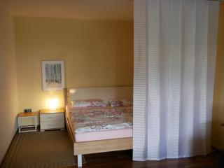 Gemütliche Ferienwohnung am Nationalpark Harz mit Parkplatz am Haus - Altenau - 5