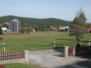 Eichhörnchen Wernigerode - Wernigerode - 7