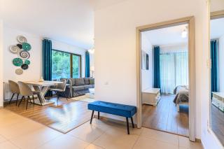 Pine Ridge Terrace - Brasov - 9