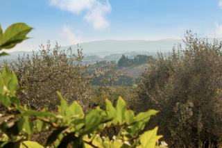 Il Piccolo Borgo for 7 guests - Certaldo - 8