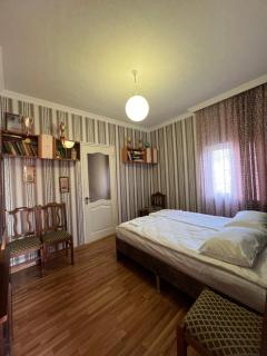 House - Kutaisi International Airport 15 Minutes, Samtredia Kulashi 15Tamar Mepe Street - Samtredia - 5
