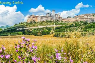 by Casamerina Tofelli villa with private pool, quiet and panoramic view - 2