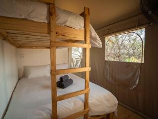 AfriCamps Waterberg - Vaalwater - 2