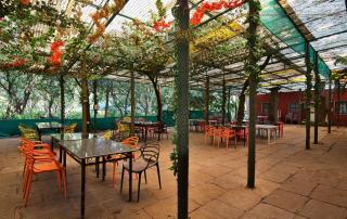 Srushti Farms Resort - 8