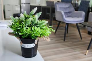 1Br Cozy Apt, IT Park, W/ WiFi - Città di Cebu - 9