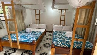 Aquarium Beach House - Nungwi - 1