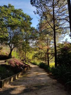 Recanto dos Beija Flores, Chalé lantana e - 1